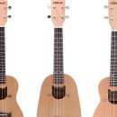 나의 사랑~우쿨렐레 이미지