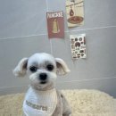 몽아뜨 이미지