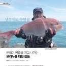 도서출판 차고