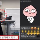 명문초등학교 이미지