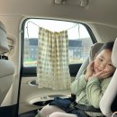 금광휴게소 | 아이랑 영덕 여행 코스, 숙소 파나크 인피니티풀 수영장, 조식