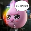 나의 사계 이미지