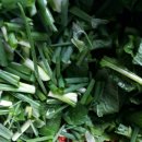 옹진해머금 이미지