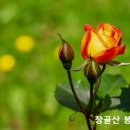 성경에 나오는 31 가지 성품 이미지