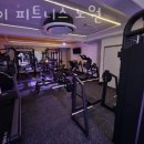 마이 피트니스 | 상계동헬스 마이 피트니스 노원 가격 후기