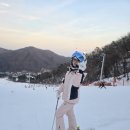 용인대명인태권도 이미지