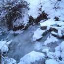 한민농장 이미지