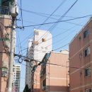 서구-02-33 이미지