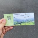 가평군 설악청소년문화의집 | 가평 갈만한 곳 가평 데이트 추천 한국관광 100선 아침고요수목원 흐린날 다녀온 솔직 후기