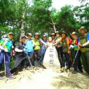 편백인 울산 이미지