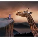 새들피아노 이미지