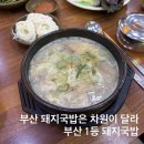 제2영진농장 | 부산 명지 맛집 ‘영진돼지국밥’ 부산 5대 돼지국밥 내돈내산 재방문 후기