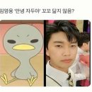 청년고깃간 이미지