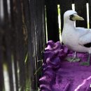 경남야생동물구조센터 이미지