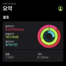 엘카페커피로스터스 이미지