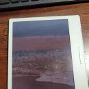 250413 미국 대학원생 주간기록