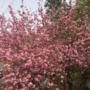 대암둔기로 이미지