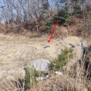 파평산농장 이미지