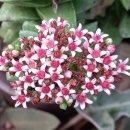 신동목장 이미지