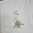 천아트 Daum카페