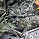 타이밍골프 이미지