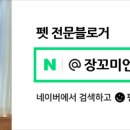 지니홈스튜디오포토앤아트갤러리 이미지