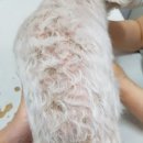 아이윌24시동물병원 이미지