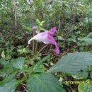 바우길 16구간 이미지