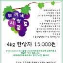 두꺼비 클럽 Daum카페
