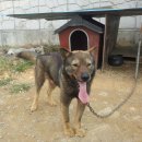 태산스크랩 이미지