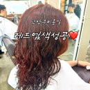 남양주미용실 추천 🌿 진접미용실 라라하우스에서 레드염색 하고 온 후기