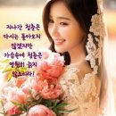 미리별