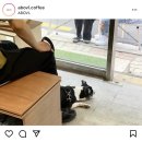 어보블(abovl)