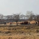 은고개로 Daum카페