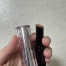 투베이지 | 인생립 헤라 립스틱 센슈얼 틴티드 430 샤인 스틱 웜톤 립 투베이지 발색 후기