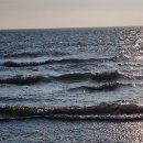 아일랜드리솜 이미지