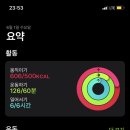 청정장어 이미지