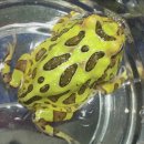 형석농장 이미지