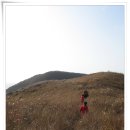 해양호민박 | 온가족 굴업도 방문기 2010-11-13 ~ 15 (우리가족 처음가는 백패킹)