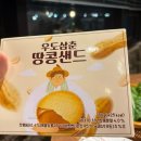 돌담위에흑돼지 | 제주 애월 흑돼지 맛집 돌담위에흑돼지 바다뷰 흑돼지 내돈내산 후기