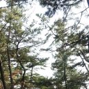 솔밭한우촌 이미지