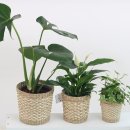 우림카인테리어 이미지