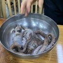 짱구네식당 이미지