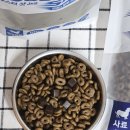 비디아이소프트 이미지