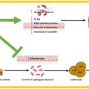 KNP 인터네셔널 이미지