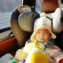 (주)브라이텍 | [생후 7개월 D+241] 부산에서 서울로~ 6시간 장거리여행준비물~간식잡고 야무지게 먹는 오월!