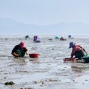 태안수산 이미지