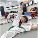 행복한태권도장 이미지