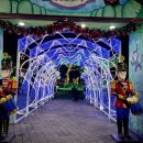 별빛랜드 이미지