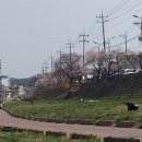 광역투어(첫주, 토) 이미지